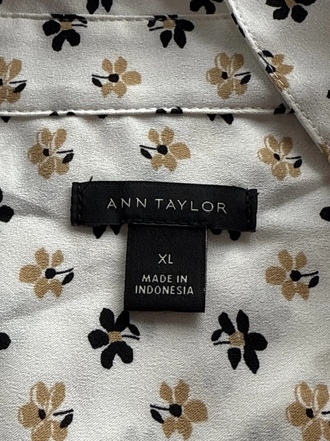 Ann Taylor