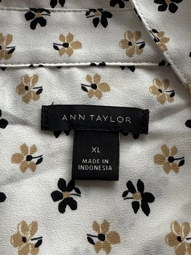 Ann Taylor