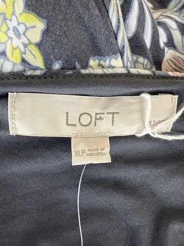 Loft Petites