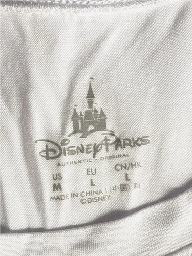 Disney Parks