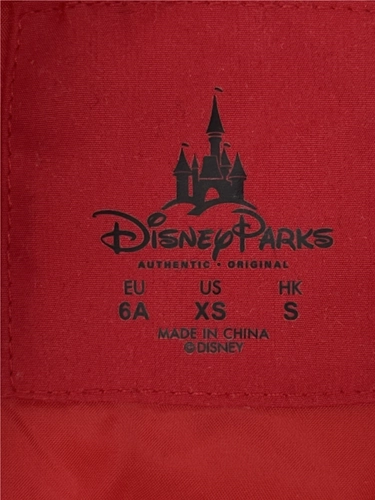 Disney Parks