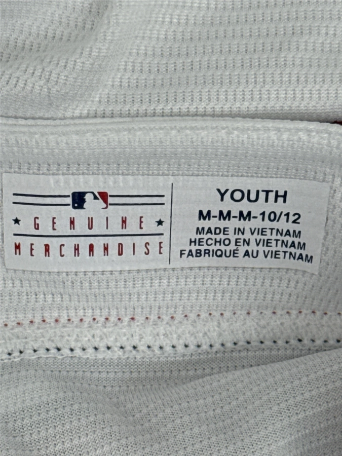 MLB Team Apparel Washington Nationals