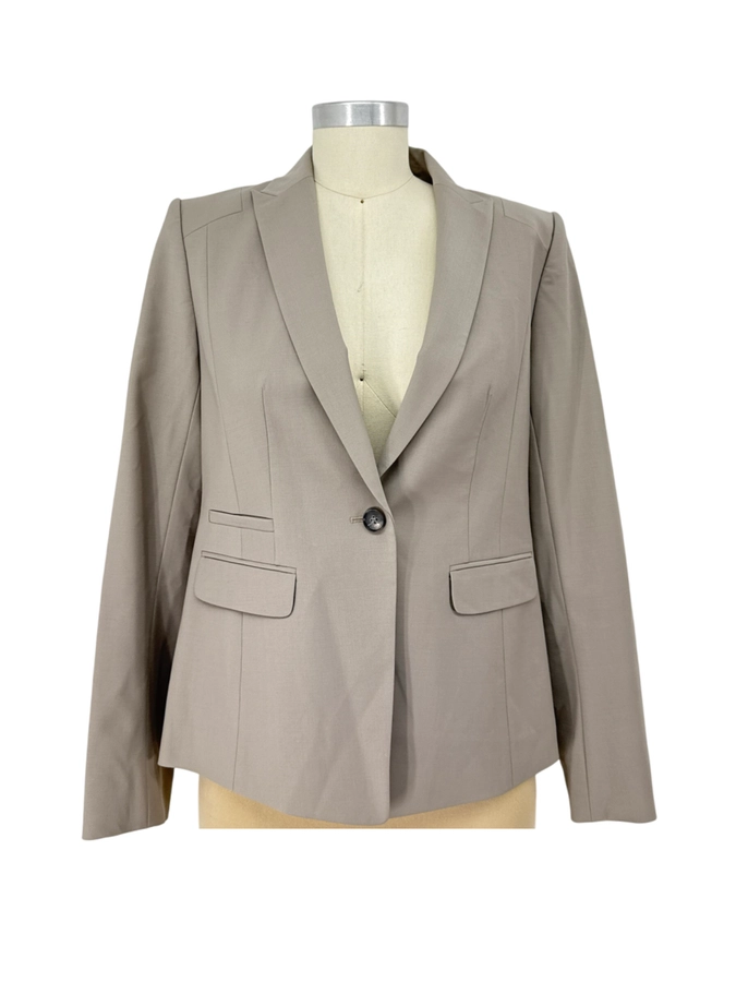Ann Taylor Petite