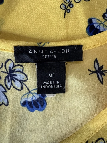 Ann Taylor