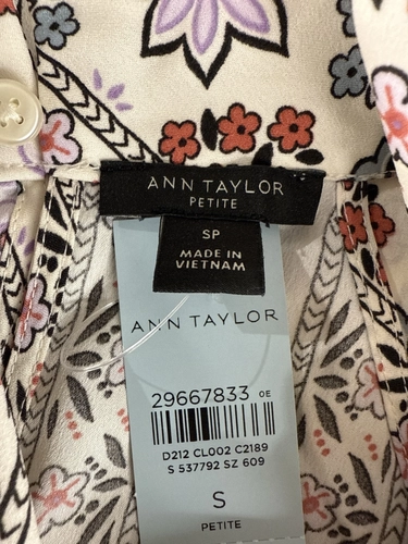 Ann Taylor