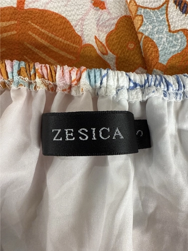 Zesica