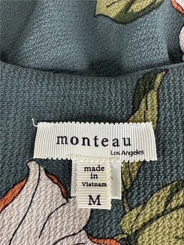 Monteau