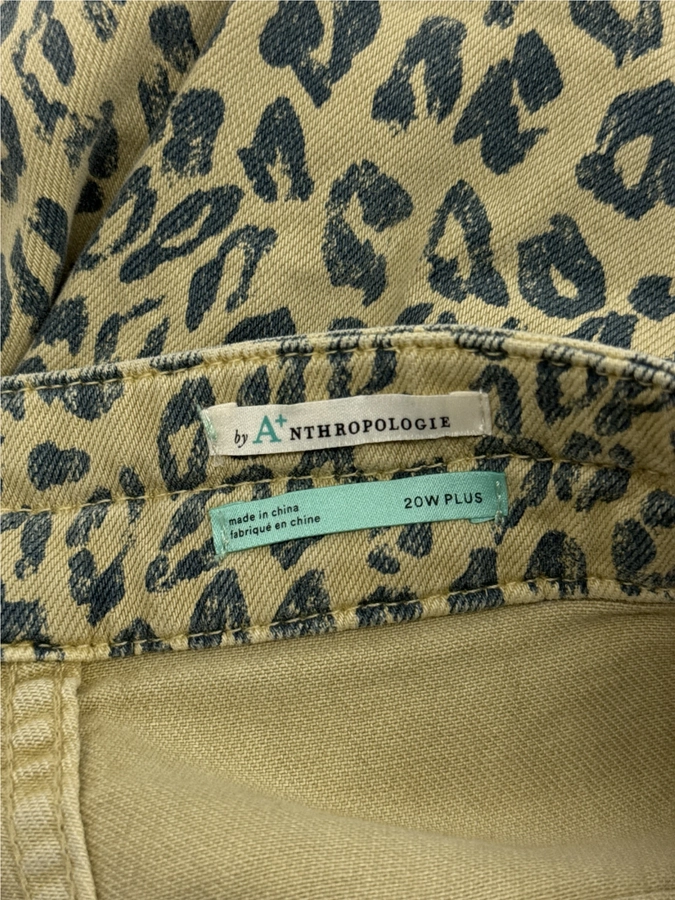 Anthropologie