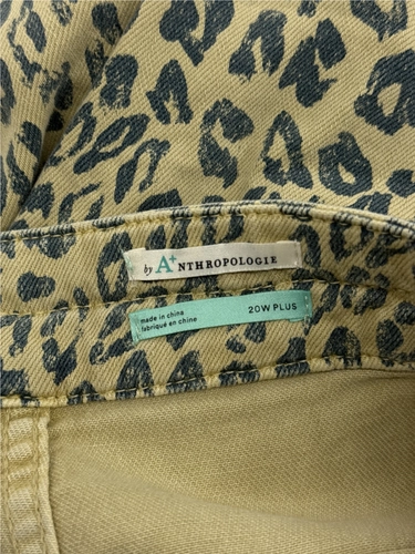 Anthropologie