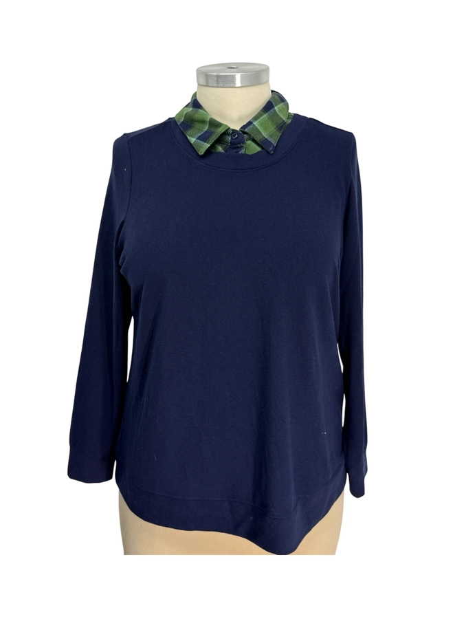 d. & co. denim + company